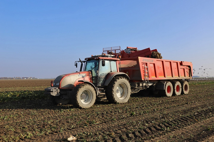 Foto's van Niels van der Boom - 15 en 16-11 - Agrifoto.nl